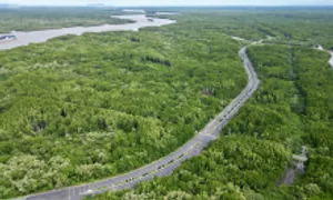 TP HCM nghiên cứu làm nút giao nối Cần Giờ với cao tốc Bến Lức