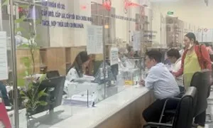 Hơn 14.300 hồ sơ thuế đất tồn đọng tại TP HCM đã được giải quyết